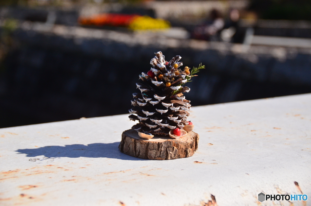 誰が置いたんかな？A