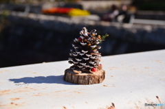 誰が置いたんかな?A