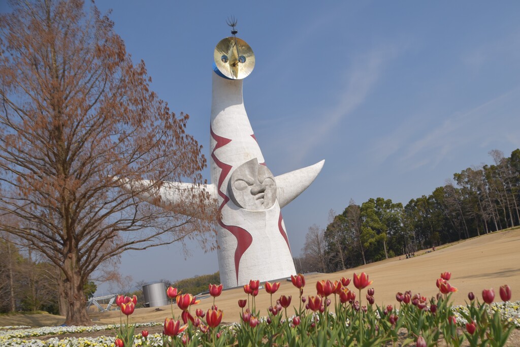 前から後ろから２