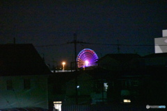 夜の散歩で