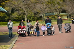 親子それぞれ