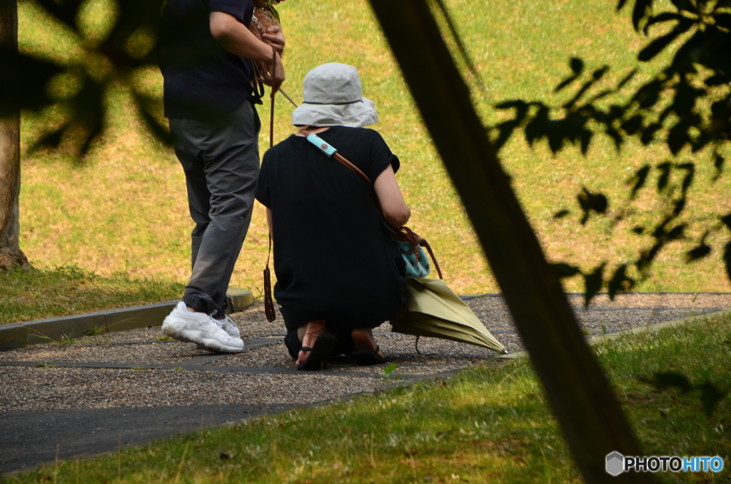 ワンちゃん（見えないけど）