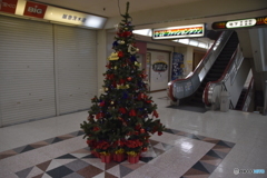 クリスマスツリ－