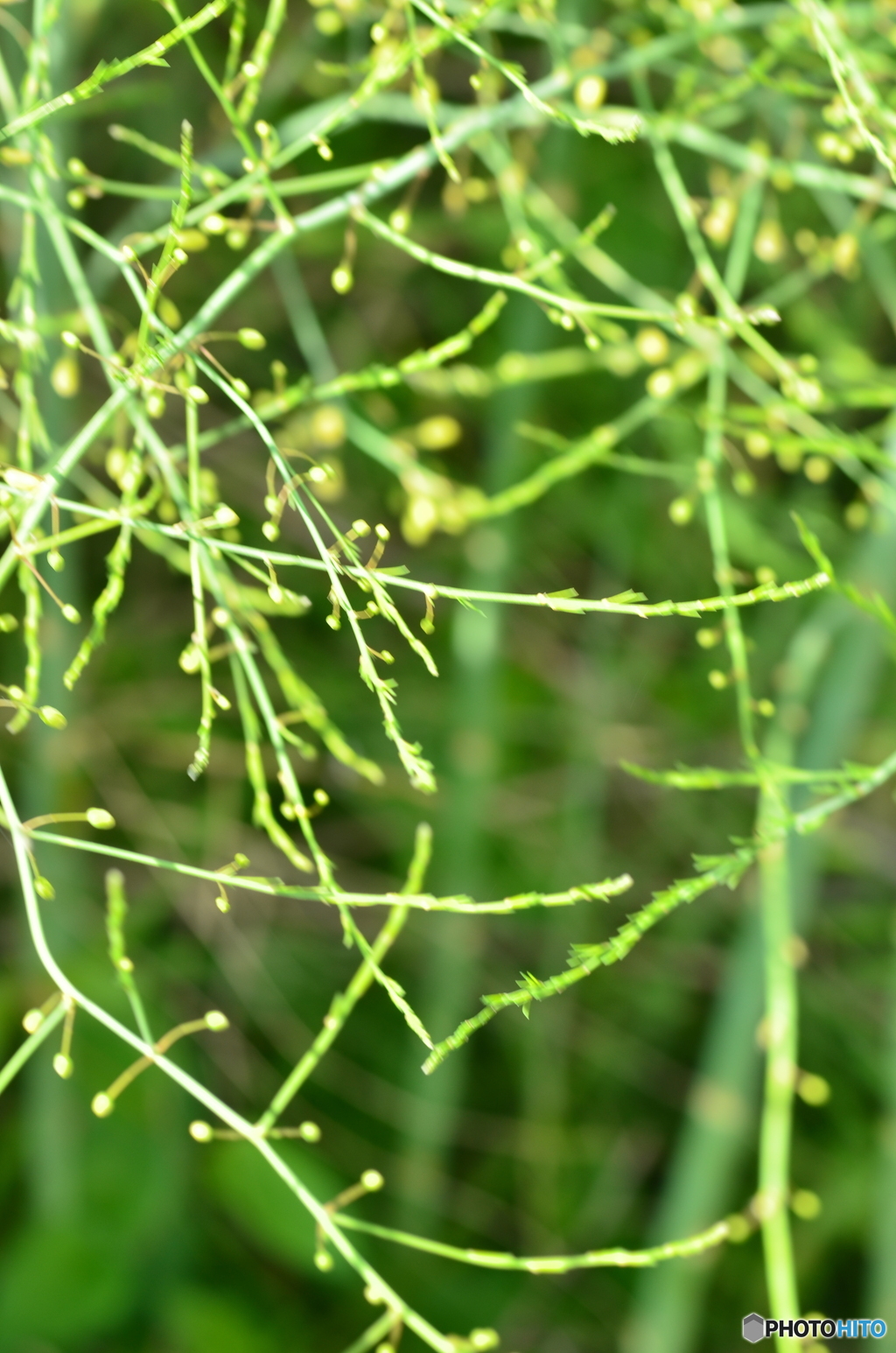 伸びきると。。。！