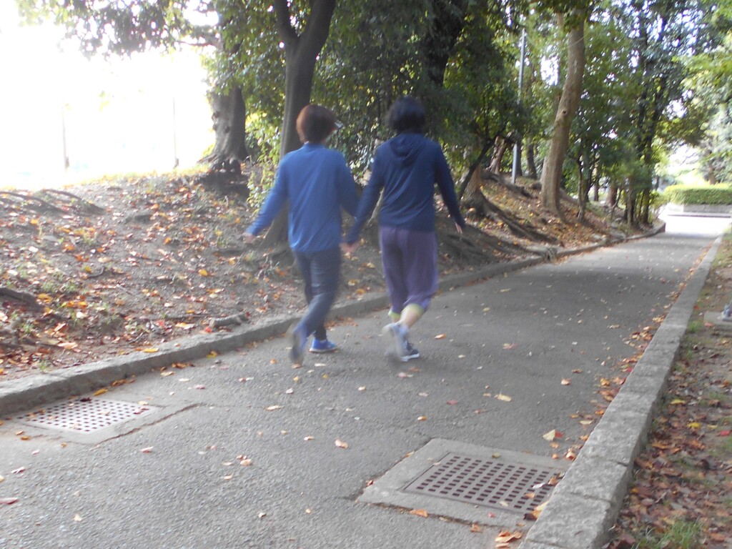 公園での散歩