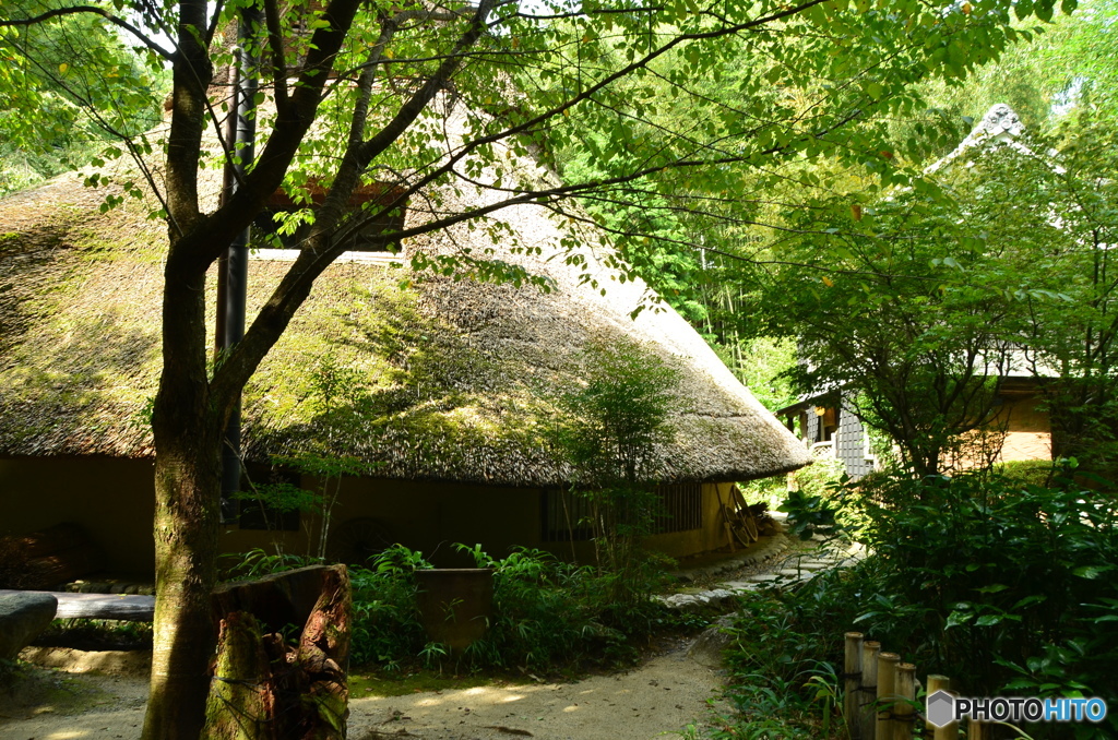 北摂、竪穴住居