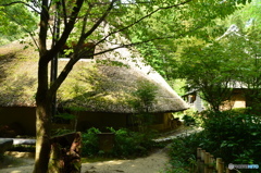 北摂、竪穴住居