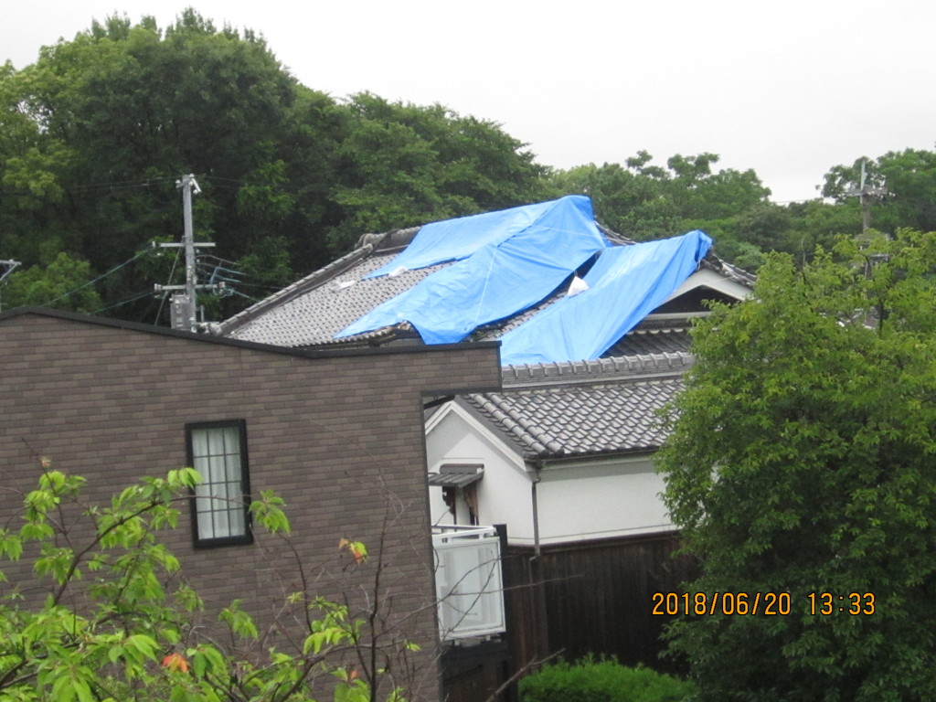 地震により