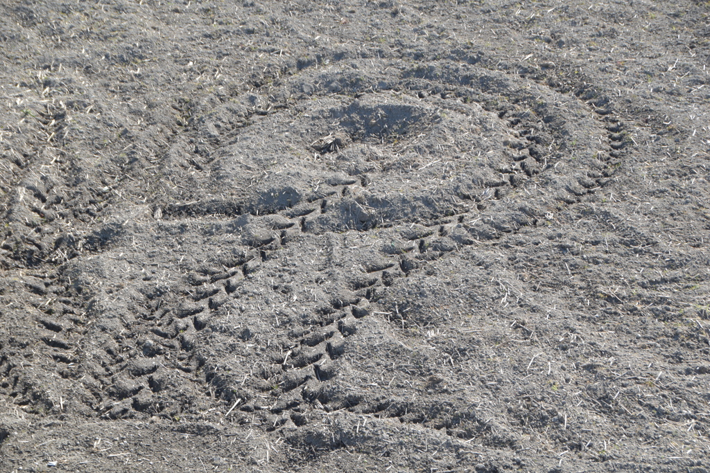 田んぼサークル