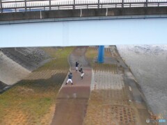 車が通る橋の下