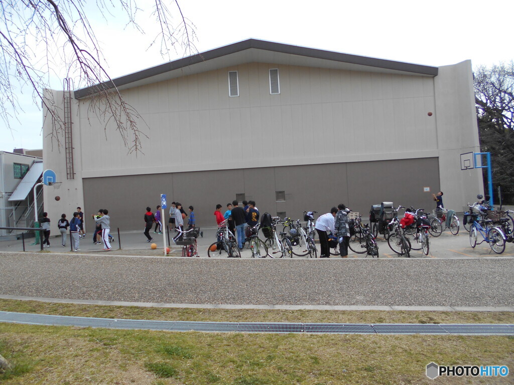 中学性かな？