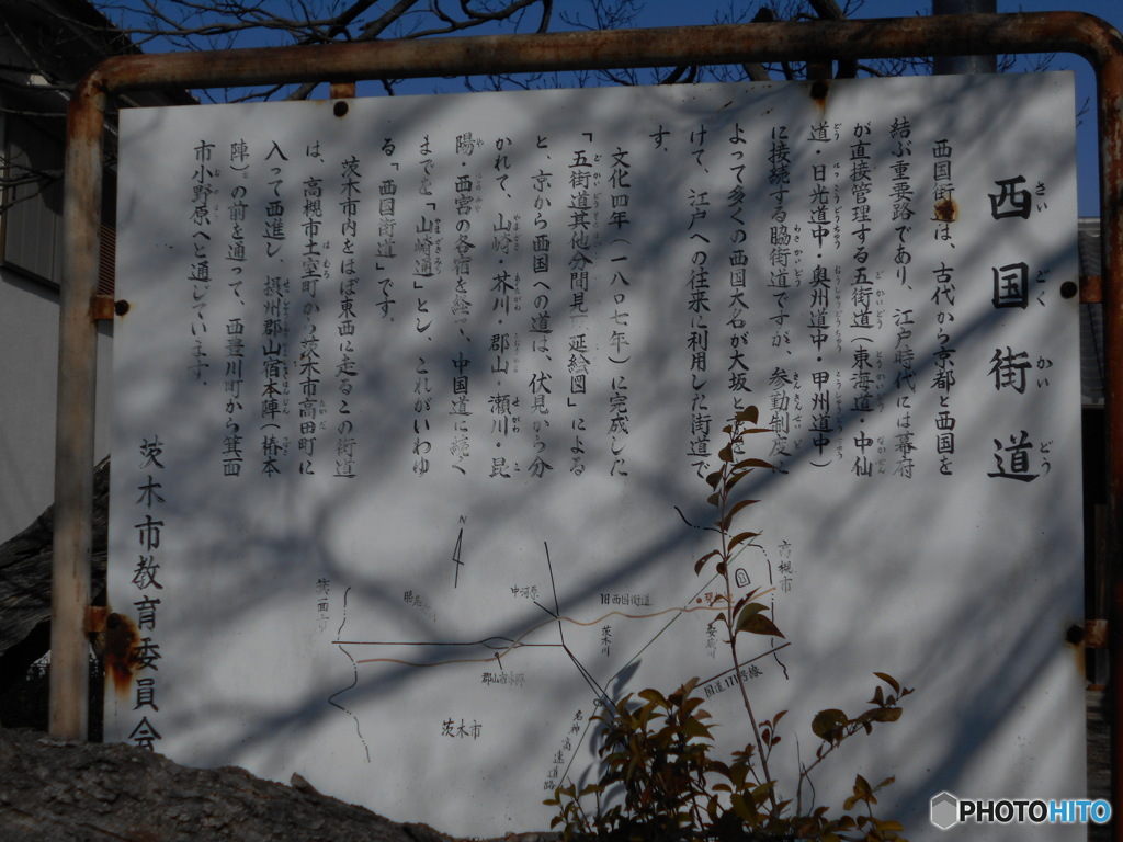 この木の横に・・・！