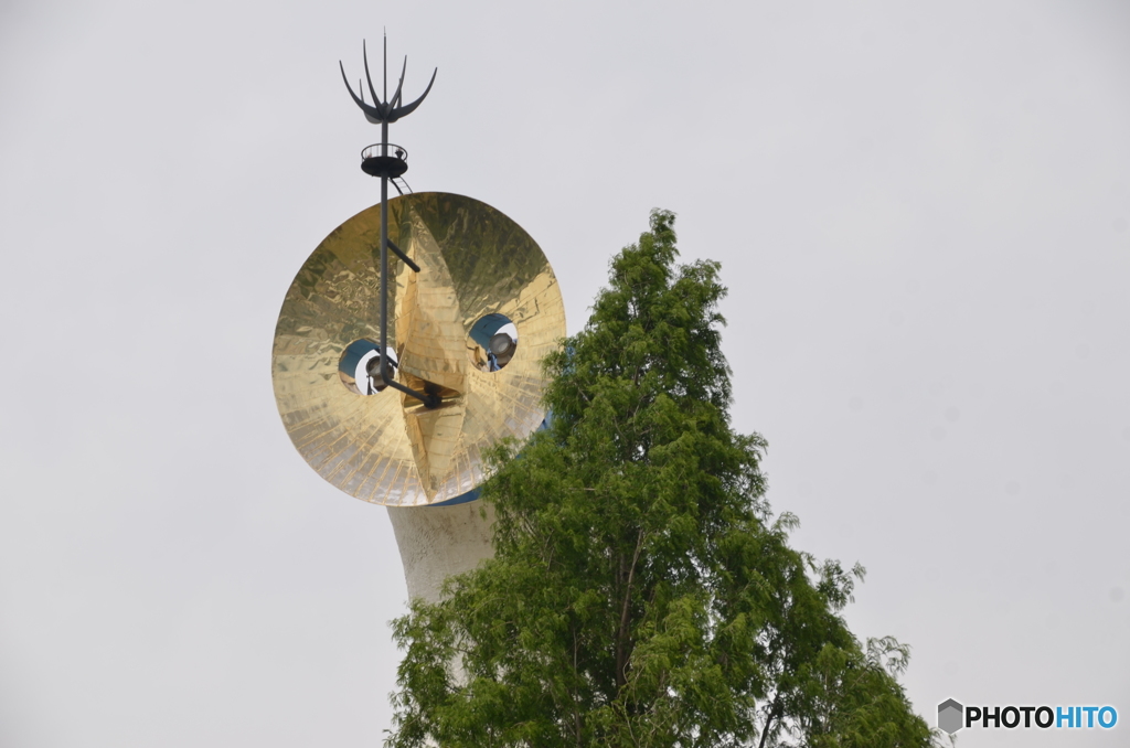 顔をちょっと見せる