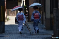 昼間の芸妓さん