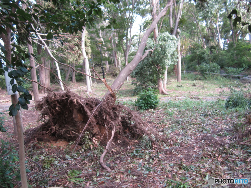２０１８，９台風２
