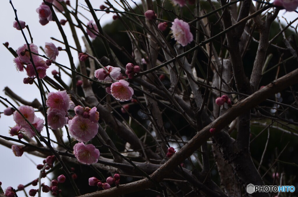 バックを黒めで