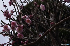 バックを黒めで