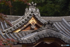 神社の一部