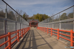 近くの神社