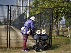 ペアリング、ワンちゃん