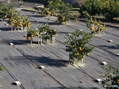 少しアップ気味で