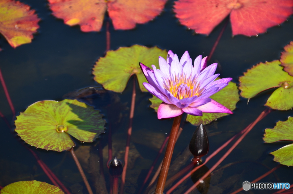 なんとこんなに綺麗！