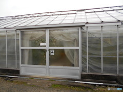 胡瓜のハウス、