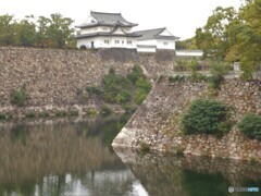 西側寄りから