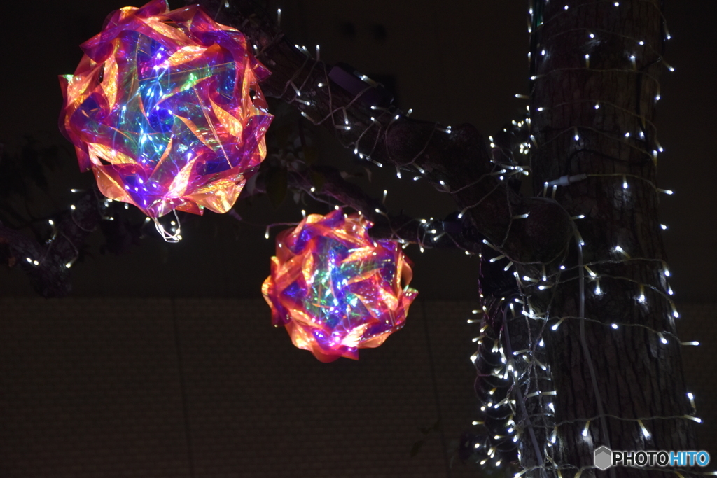 質素なイルミ１