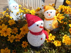 雪が降らないもんで