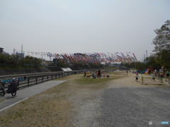 空を泳いでる 空を泳いでる