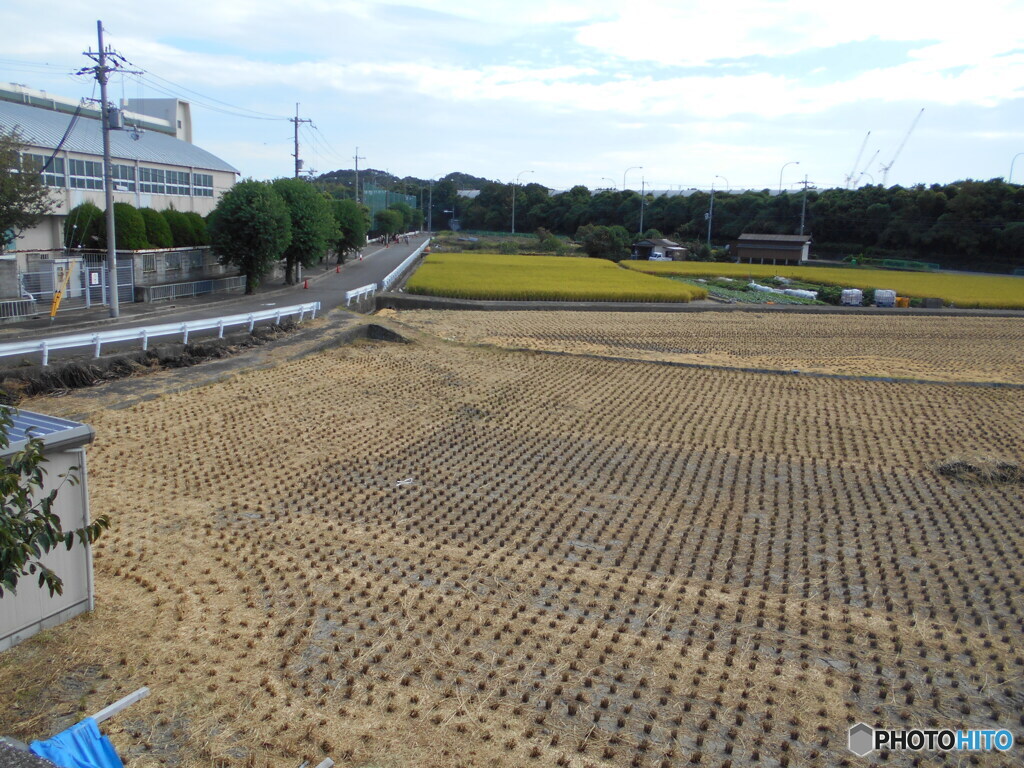 学校の前は農地