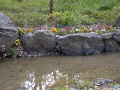 同じく川の庭園