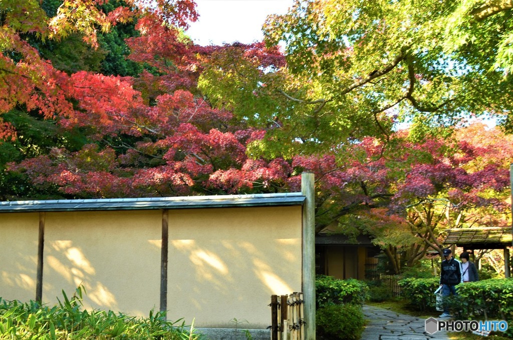 汎庵　茶室