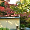 汎庵　茶室