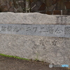 隣の市です