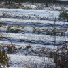 雪の朝１