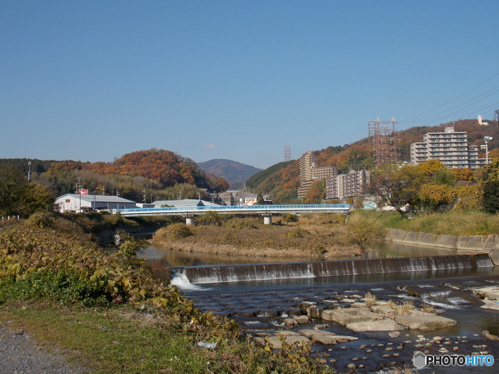 川沿いのマンション群