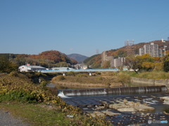 川沿いのマンション群