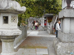 稗田野神社（亀岡›