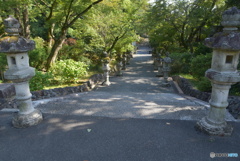 このお寺の敷地内