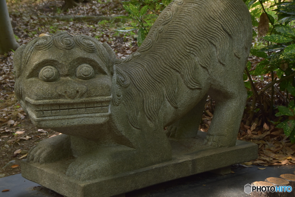 台北からのプレゼント