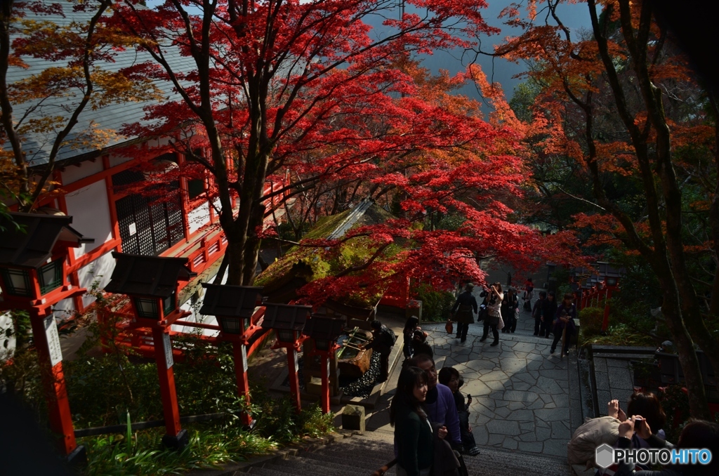 下山道