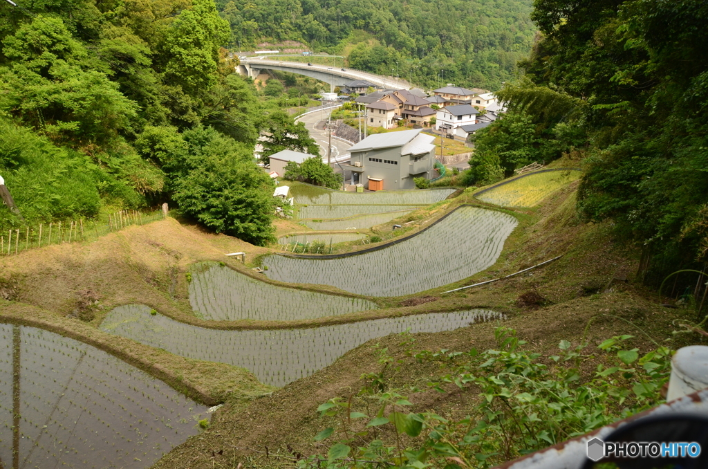棚田から下界を見る