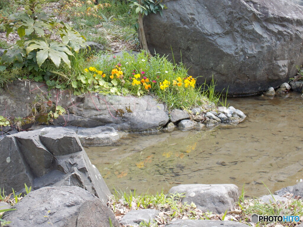 小川の庭園