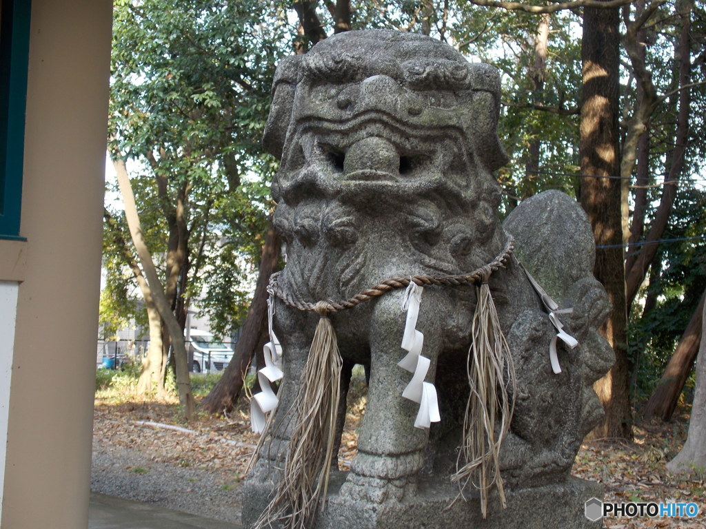 同じく