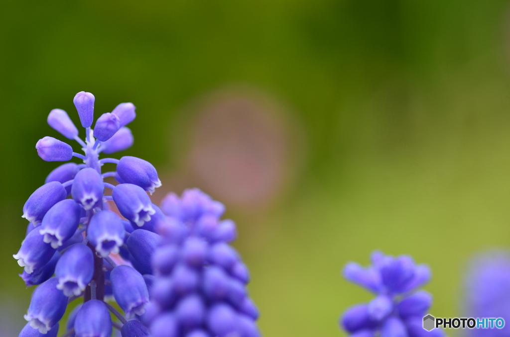 背景のボケ具合