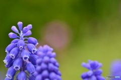 背景のボケ具合