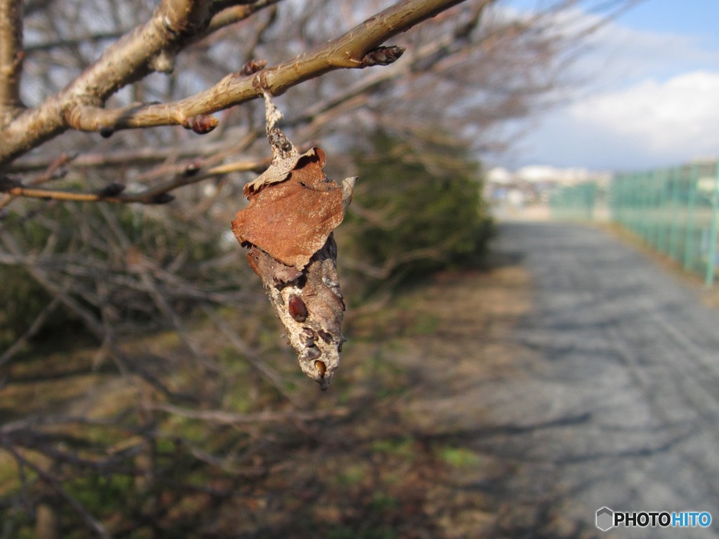 少し遠目から