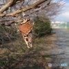 少し遠目から